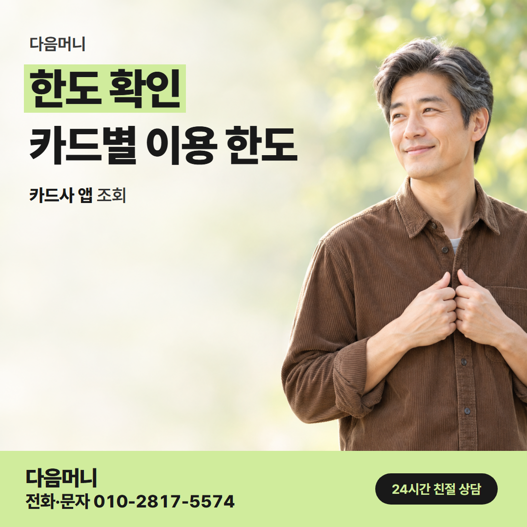 다음머니 춘천카드깡 카드사 앱 조회 화면